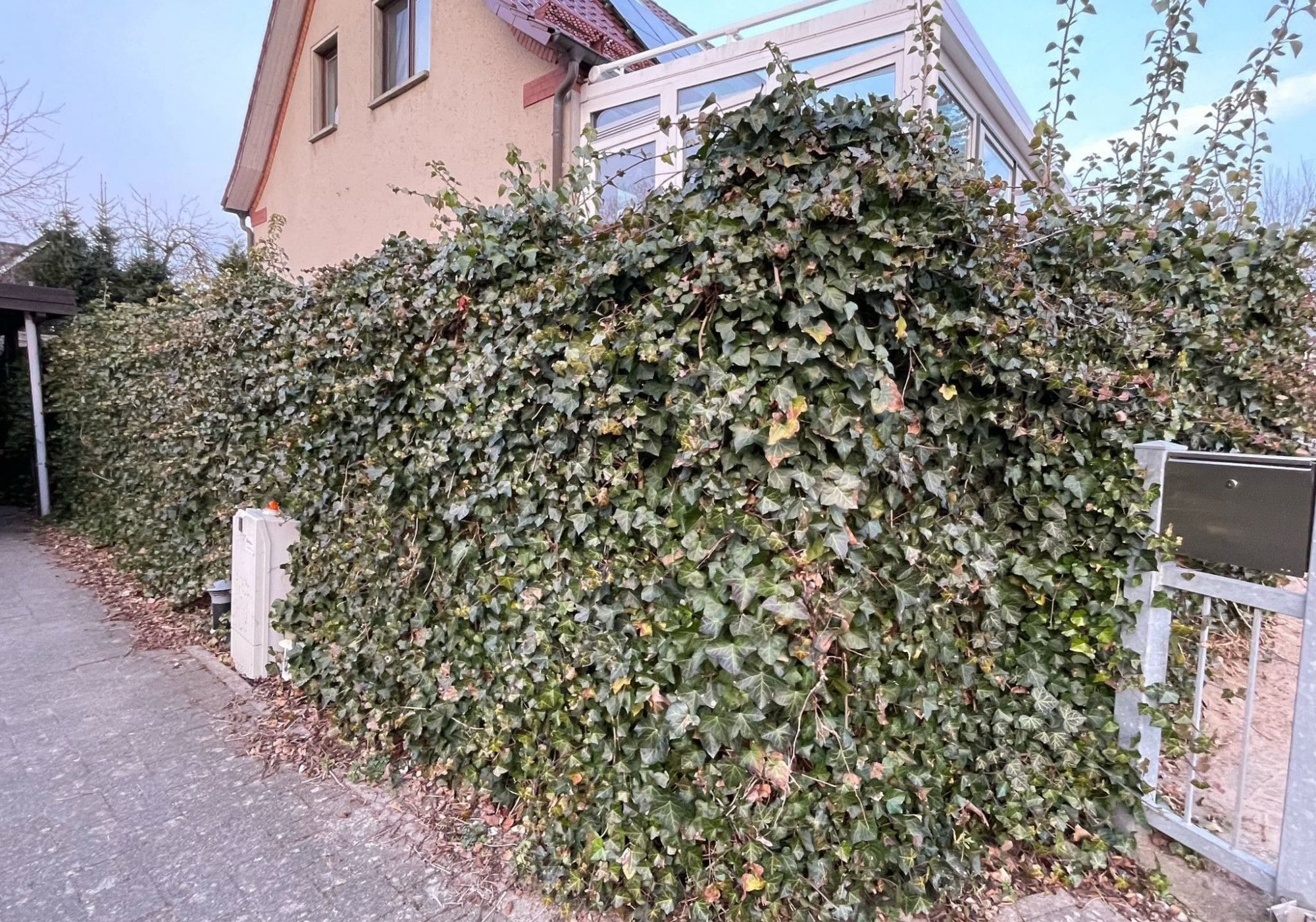 Heckenzaun vorher
