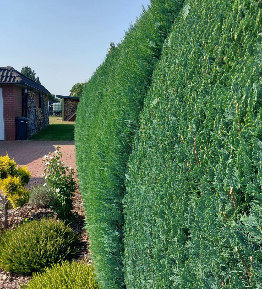 Hecke