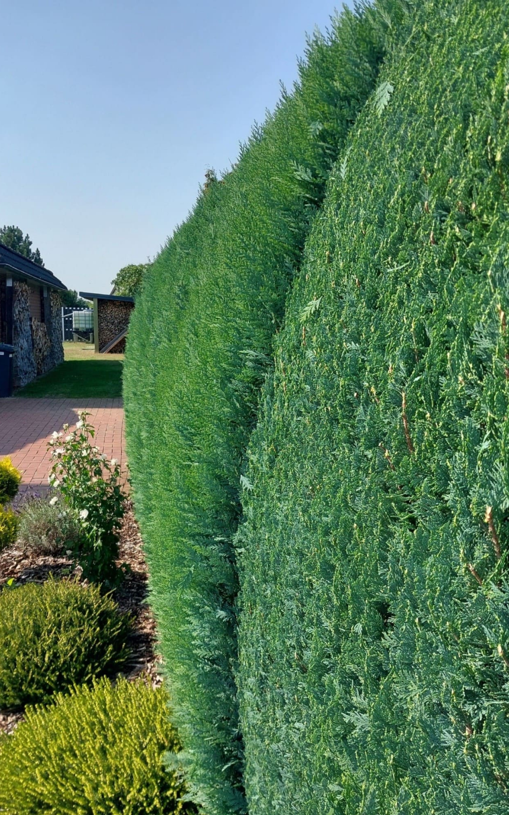 Hecke